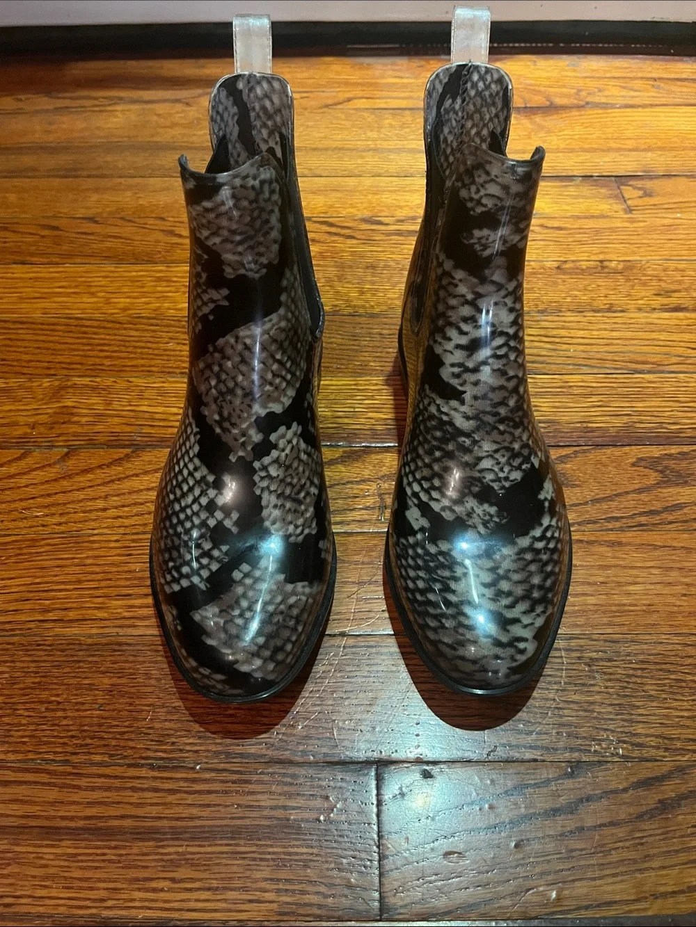 LAUREN Ralph Lauren | Tally Snake Print Chelsea Rain Boots | Women’s 7